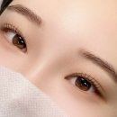 더민브로우