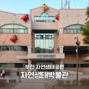 자연생태박물관 | 부천 아이랑 갈만한 곳 자연생태공원 자연생태박물관