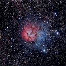 신비소리 이미지