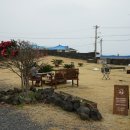 이오이오반점 이미지