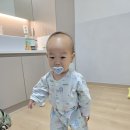 이제 15갤 지난 외손자가 폐렴으로 입원했네요 이미지