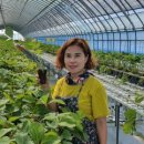 마실농장 이미지