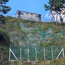 신흑1통마을회관 | 국도 36호선 기점인 대천항로가 있는 서해랑길 60코스(대천해변 ~깊은골정류장 ) - 2025.10.27/28