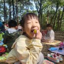 성체유치원 이미지