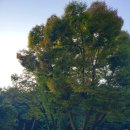 CU(안양예술공원점) 이미지