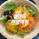 헤븐리치더퍼스트 294 | [샐러디] 단호박두부샐러드(웜볼, 크리미칠리 소스) / 포케 / 샌드위치