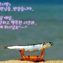 이런것도 낚시이야기..? 이미지
