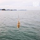 찬FS 네이버블로그