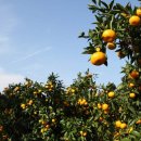 세종대학교 관광대학원 이미지