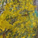 장자호수길 이미지