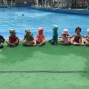 로만바스 수영장 이미지