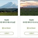 강인한농장 이미지