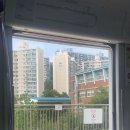 덮당 이미지