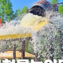 부천로354번길 이미지