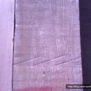 메이플피시 이미지