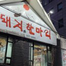 돼지한마리 이미지