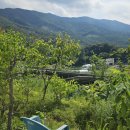 방**태양광발전소 이미지