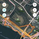 중앙로 메타세콰이아길 이미지