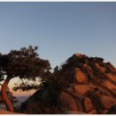 푸른계곡 이미지