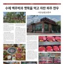 다온숲암소한우