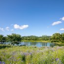 자라섬자전거대여소 이미지