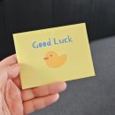 온드림월드 | 12월 결산 포토 덤프 recap인척 하는 아무말 아무생각