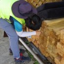 산림청 영월국유림관리소 이미지