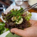 동홍소랑 이미지