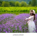 버들공원 이미지