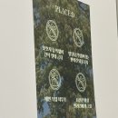 해피치 애견카페 | 독산동 신상애견카페 솔직 후기｜[플레이스디] 깔끔하고 넓은 애견카페 방문후기