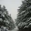 경찰대학 이미지