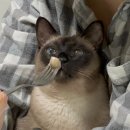 카라멜밀크샵 네이버블로그