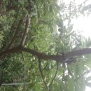 산중농원 이미지