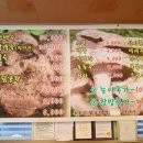 용덕산장 이미지