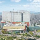 영남대학교병원 이미지