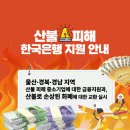한국은행대구경북본부 | 경북 산불 피해, 불에 탄 지폐 교환 방법 및 기준(한국은행)