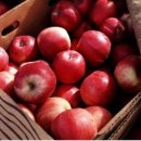 우아핏피트니스 분당미금점 이미지