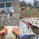 동그리펜션 이미지