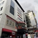 고양이카페 루프캣미 명동점 | 명동 실내 놀거리 루프캣미 고양이카페 명동점