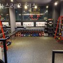 달라스레오 이미지