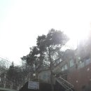 시화한정식 이미지