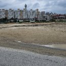 대월푸드 이미지