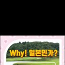 골프스타그램