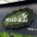 ㈜제주엔젤렌트카 | 제주도여행 제주엔젤렌트카 모닝 가격 후기