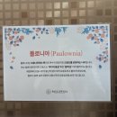 호스텔 폴로니아 | [여수숙소] 여수 엑스포역 숙소 “호스텔 폴로니아” 후기