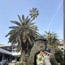 스테이여린 이미지