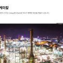가나케미칼 네이버블로그