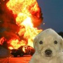 [어쩌다 만난 선배시민~]너의 말이 나를 움직였어 | 지나고 보니 시간은 참 빨라