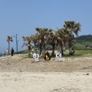 제주해녀횟집 | 제주 함덕해수욕장 오션뷰횟집 선장과해녀 모듬회 후기