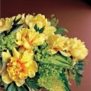 카라flower